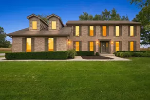 491 E Nebraska B Ct, Frankfort, IL 60423 - Photo 1