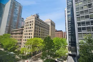 253 E Delaware Pl, Chicago, IL 60611 - Photo 12