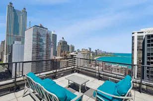 253 E Delaware Pl, Chicago, IL 60611 - Photo 14