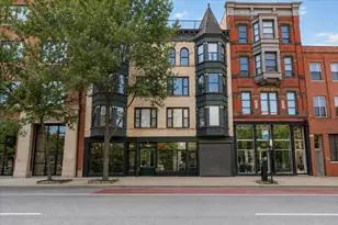 353 W Chicago Ave, Chicago, IL 60654 - Photo 1