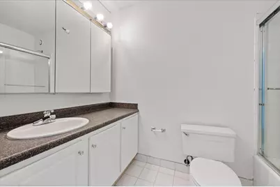 10 E Ontario Street #4602, Chicago, IL 60611 - Photo 24