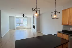1610 W Grand Ave, Chicago, IL 60622 - Photo 6