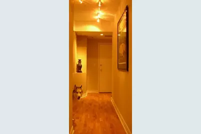 400 W Ontario Street #1403, Chicago, IL 60654 - Photo 16