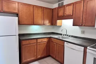 211 E Ohio St, Chicago, IL 60611 - Photo 8
