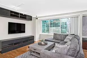 211 E Ohio St, Chicago, IL 60611 - Photo 6