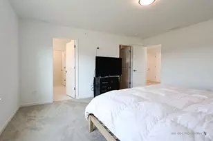 2490 Olivia Ct, Wauconda, IL 60084 - Photo 14