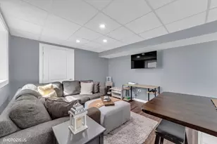 892 W Woodlawn Rd, New Lenox, IL 60451 - Photo 52