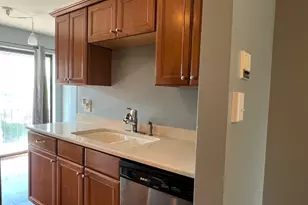 1725 S Washington St, Naperville, IL 60565 - Photo 4