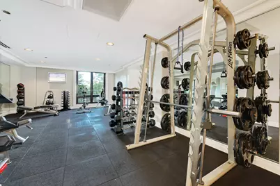 441 W Deming Place, Chicago, IL 60614 - Photo 48