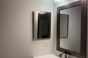 1071 W 15th St, Chicago, IL 60608 - Photo 14