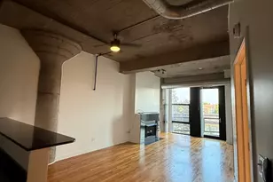 1071 W 15th St, Chicago, IL 60608 - Photo 2