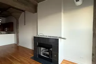 1071 W 15th St, Chicago, IL 60608 - Photo 4