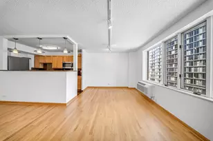 801 S Plymouth Ct, Chicago, IL 60605 - Photo 4