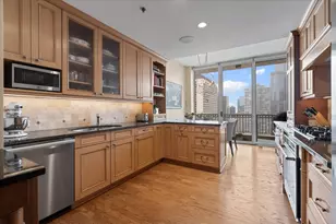 55 E Erie St, Chicago, IL 60611 - Photo 8