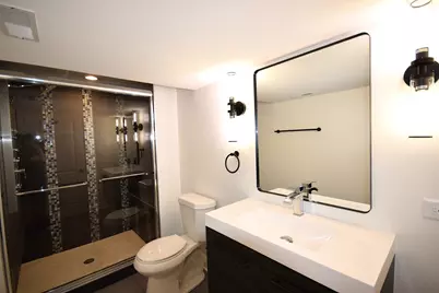 1341 W 97th Street, Chicago, IL 60643 - Photo 18