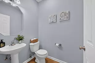 547 Bobby Ann Ct, Roselle, IL 60172 - Photo 18