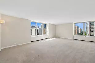 1325 N State Pkwy, Chicago, IL 60610 - Photo 4