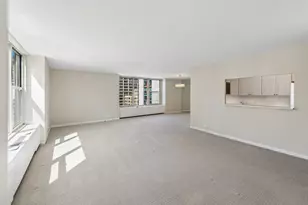 1325 N State Pkwy, Chicago, IL 60610 - Photo 6