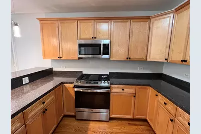 218 S Hamilton Avenue #2S, Chicago, IL 60612 - Photo 10