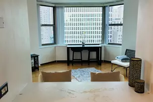 535 N Michigan Ave, Chicago, IL 60611 - Photo 12