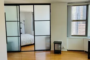 535 N Michigan Ave, Chicago, IL 60611 - Photo 18