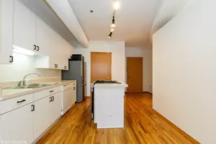 910 S Michigan Ave, Chicago, IL 60605 - Photo 8