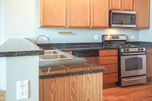 1224 W Van Buren St, Chicago, IL 60607 - Photo 4
