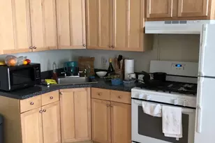 1736 W Beach Ave, Chicago, IL 60622 - Photo 20