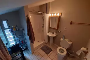 1736 W Beach Ave, Chicago, IL 60622 - Photo 34