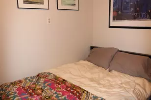 1736 W Beach Ave, Chicago, IL 60622 - Photo 6