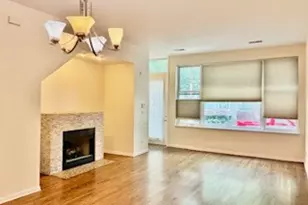 917 N Kingsbury St, Chicago, IL 60610 - Photo 2