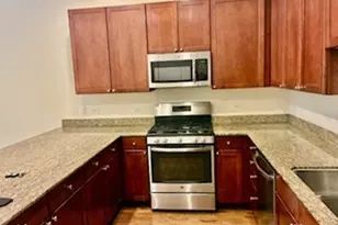 917 N Kingsbury St, Chicago, IL 60610 - Photo 6