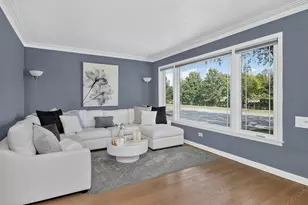3318 W Columbus Ave, Chicago, IL 60652 - Photo 4