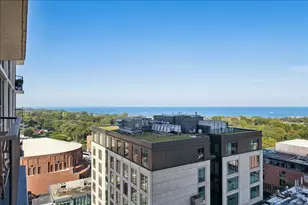 1560 N Sandburg Terrace, Chicago, IL 60610 - Photo 14