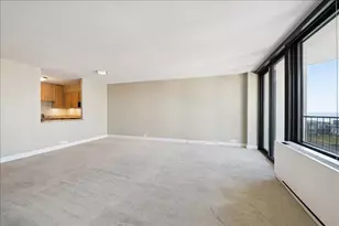 1560 N Sandburg Terrace, Chicago, IL 60610 - Photo 4