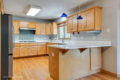 8220 Rutherford Drive, Woodridge, IL 60517 - Photo 6