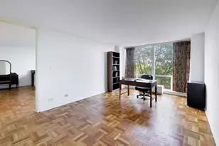 601 E 32nd St, Chicago, IL 60616 - Photo 36