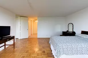 601 E 32nd St, Chicago, IL 60616 - Photo 42