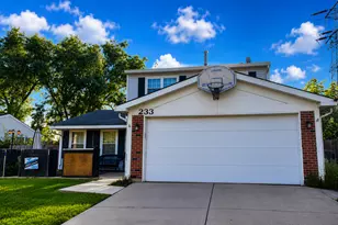 233 Yellow Pine Dr, Bolingbrook, IL 60440 - Photo 1