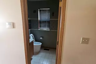 1258 S Homan Ave, Chicago, IL 60623 - Photo 10