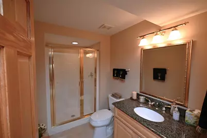 17838 Marley Creek Boulevard, Orland Park, IL 60467 - Photo 30