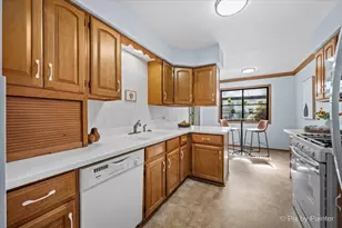 325 Lake St, Crystal Lake, IL 60014 - Photo 10