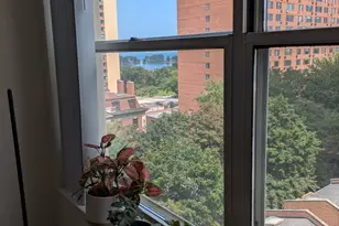 3033 N Sheridan Rd, Chicago, IL 60657 - Photo 8