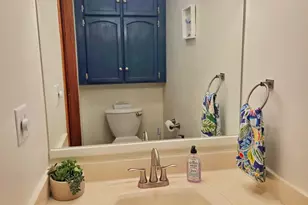 11 Chairtree Ct, Putnam, IL 61560 - Photo 32