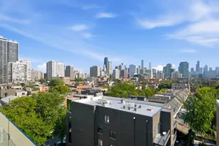 1552 N North Park Avenue, Chicago, IL 60610 - Photo 36