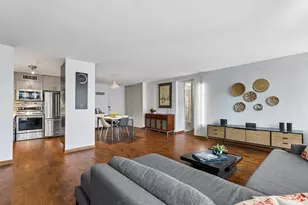900 N Lake Shore Dr, Chicago, IL 60611 - Photo 8