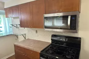 8953 Central Park Ave, Evanston, IL 60203 - Photo 10