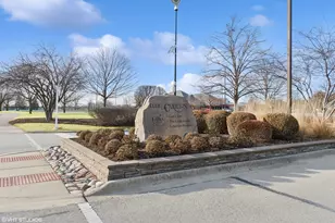 20865 W Chinaberry Ct, Plainfield, IL 60544 - Photo 22
