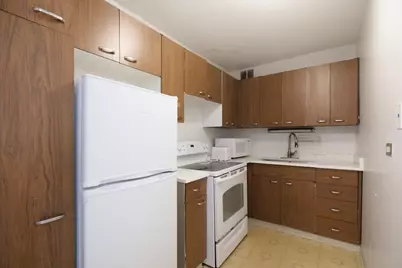 1700 E 56th Street #2406, Chicago, IL 60637 - Photo 2