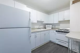 850 N Dewitt Pl, Chicago, IL 60611 - Photo 14